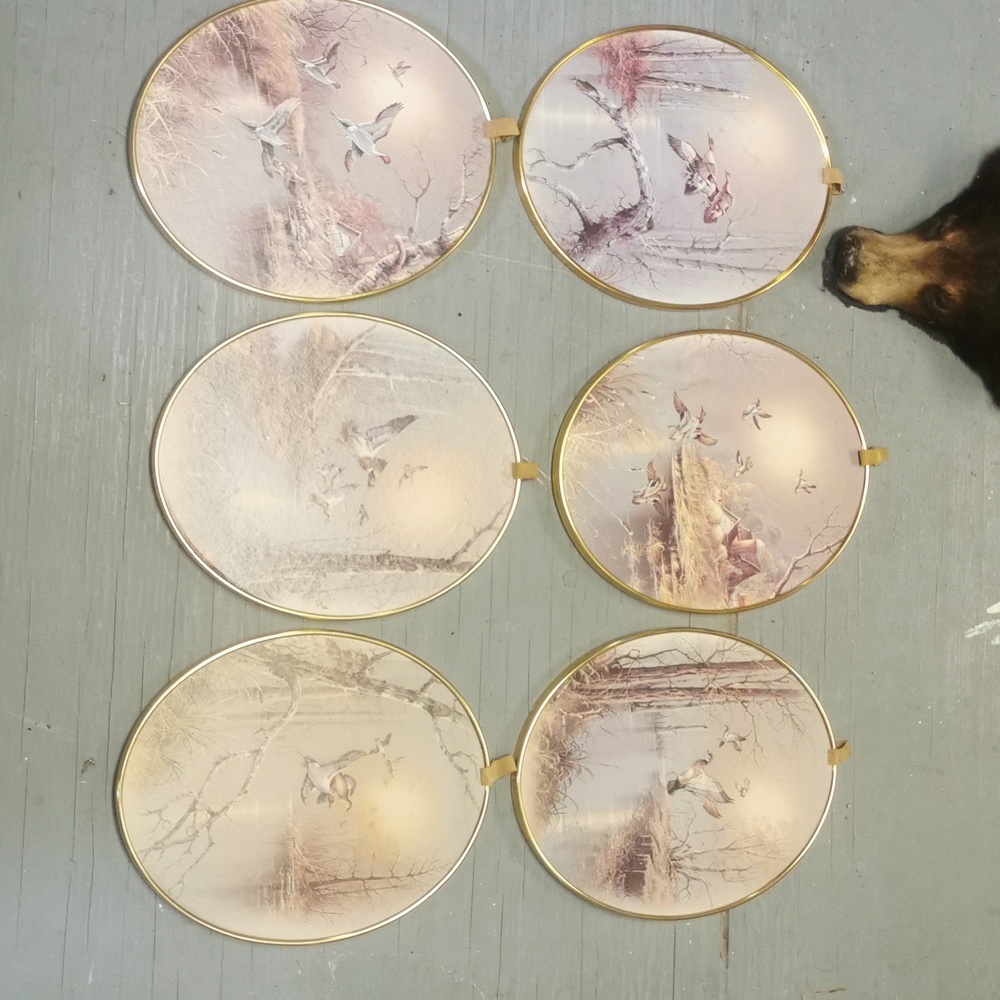 Duck prints vintage set of 6